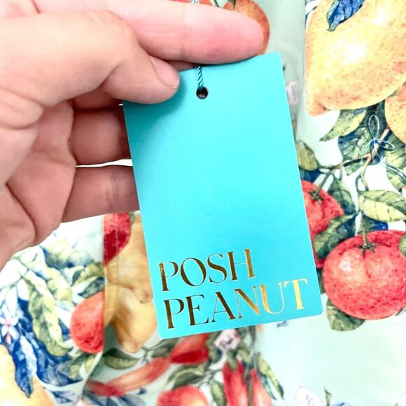 NWT Posh Peanut Lucia Fruit Print Men’s Swim Trunks Size 2XL - Picture 3 of 6